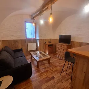 Grand Studio Plein Centre Apartment